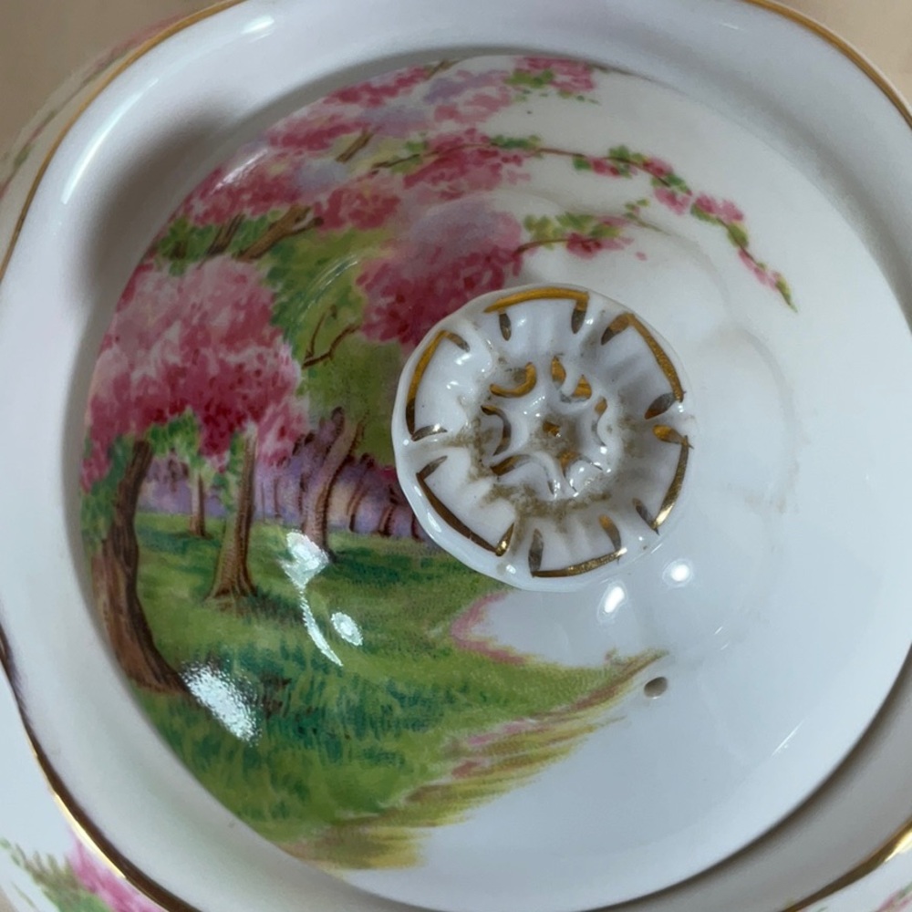 Royal Albert Blossom Time Teapot with Green and Pink Accents - Picture 4 of 16